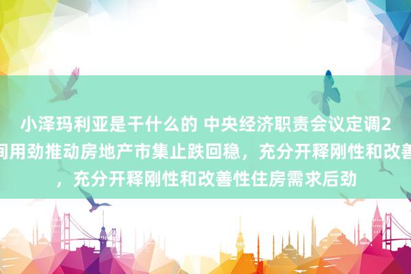 小泽玛利亚是干什么的 中央经济职责会议定调2025年楼市：无间用劲推动房地产市集止跌回稳，充分开释刚性和改善性住房需求后劲