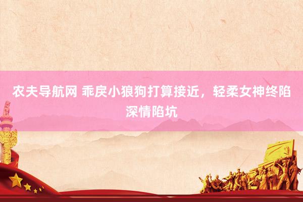 农夫导航网 乖戾小狼狗打算接近，轻柔女神终陷深情陷坑