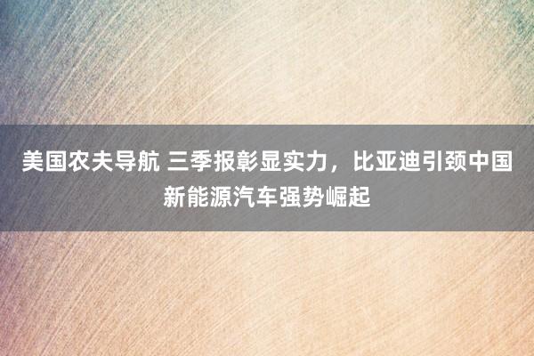 美国农夫导航 三季报彰显实力，比亚迪引颈中国新能源汽车强势崛起