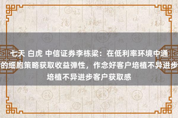 七天 白虎 中信证券李栋梁：在低利率环境中通过专科细巧的细胞策略获取收益弹性，作念好客户培植不异进步客户获取感