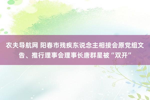 农夫导航网 阳春市残疾东说念主相接会原党组文告、推行理事会理事长唐群星被“双开”