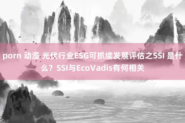 porn 动漫 光伏行业ESG可抓续发展评估之SSI 是什么？SSI与EcoVadis有何相关
