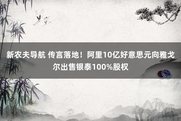 新农夫导航 传言落地！阿里10亿好意思元向雅戈尔出售银泰100%股权