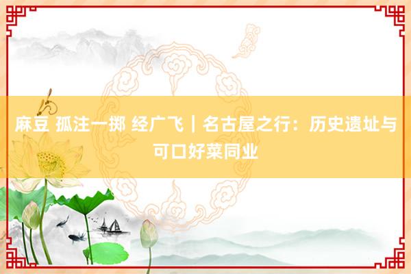 麻豆 孤注一掷 经广飞｜名古屋之行：历史遗址与可口好菜同业