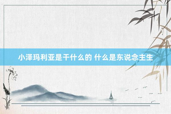 小泽玛利亚是干什么的 什么是东说念主生
