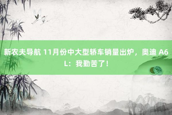 新农夫导航 11月份中大型轿车销量出炉，奥迪 A6L：我勤苦了！