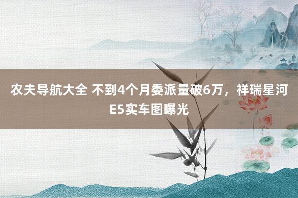 农夫导航大全 不到4个月委派量破6万，祥瑞星河E5实车图曝光