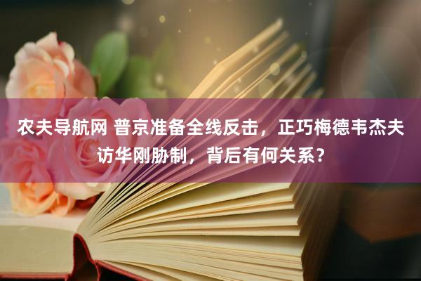 农夫导航网 普京准备全线反击，正巧梅德韦杰夫访华刚胁制，背后有何关系？