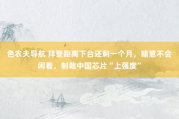 色农夫导航 拜登距离下台还剩一个月，暗意不会闲着，制裁中国芯片“上强度”