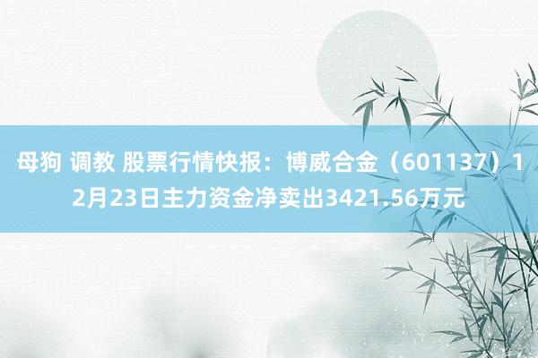 母狗 调教 股票行情快报：博威合金（601137）12月23日主力资金净卖出3421.56万元