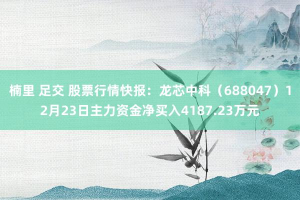楠里 足交 股票行情快报：龙芯中科（688047）12月23日主力资金净买入4187.23万元