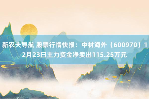 新农夫导航 股票行情快报：中材海外（600970）12月23日主力资金净卖出115.25万元