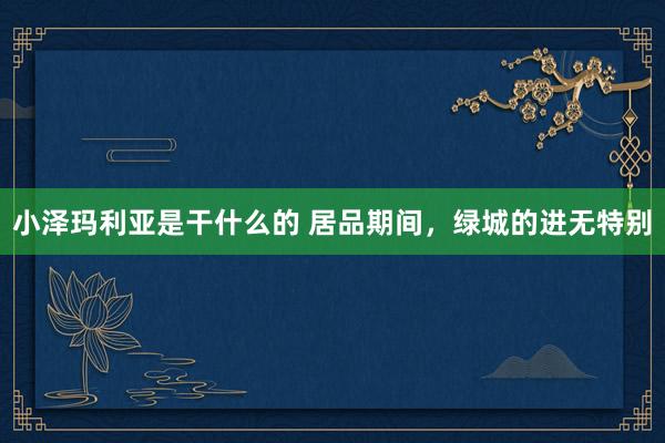 小泽玛利亚是干什么的 居品期间，绿城的进无特别