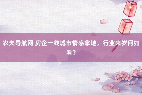 农夫导航网 房企一线城市情感拿地，行业来岁何如看？
