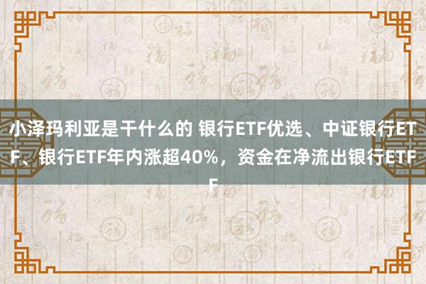小泽玛利亚是干什么的 银行ETF优选、中证银行ETF、银行ETF年内涨超40%，资金在净流出银行ETF
