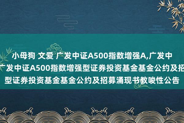小母狗 文爱 广发中证A500指数增强A,广发中证A500指数增强C: 广发中证A500指数增强型证券投资基金基金公约及招募涌现书教唆性公告