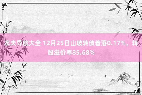 农夫导航大全 12月25日山玻转债着落0.17%，转股溢价率85.68%
