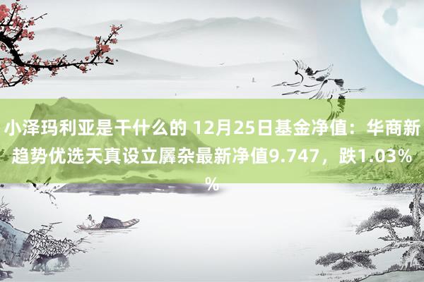 小泽玛利亚是干什么的 12月25日基金净值：华商新趋势优选天真设立羼杂最新净值9.747，跌1.03%