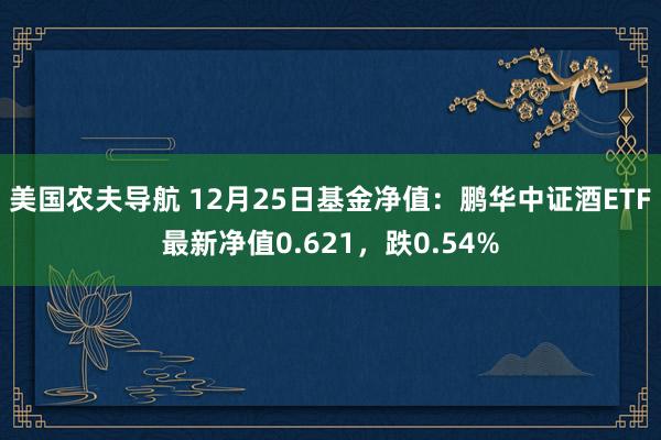 美国农夫导航 12月25日基金净值：鹏华中证酒ETF最新净值0.621，跌0.54%
