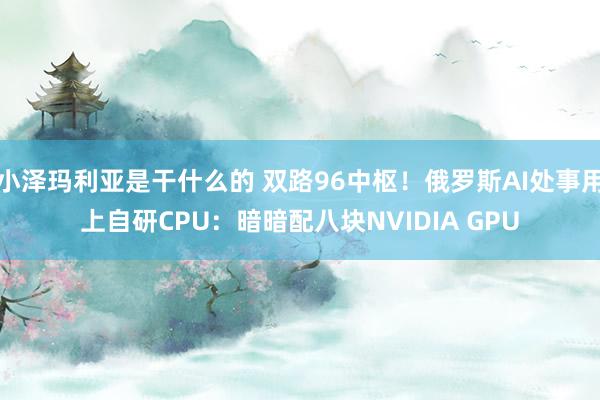 小泽玛利亚是干什么的 双路96中枢！俄罗斯AI处事用上自研CPU：暗暗配八块NVIDIA GPU