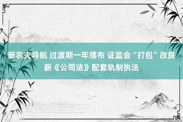 新农夫导航 过渡期一年摆布 证监会“打包”改良新《公司法》配套轨制执法