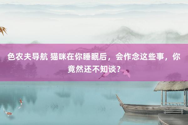 色农夫导航 猫咪在你睡眠后，会作念这些事，你竟然还不知谈？