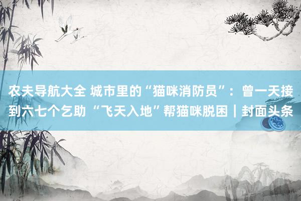 农夫导航大全 城市里的“猫咪消防员”：曾一天接到六七个乞助 “飞天入地”帮猫咪脱困｜封面头条