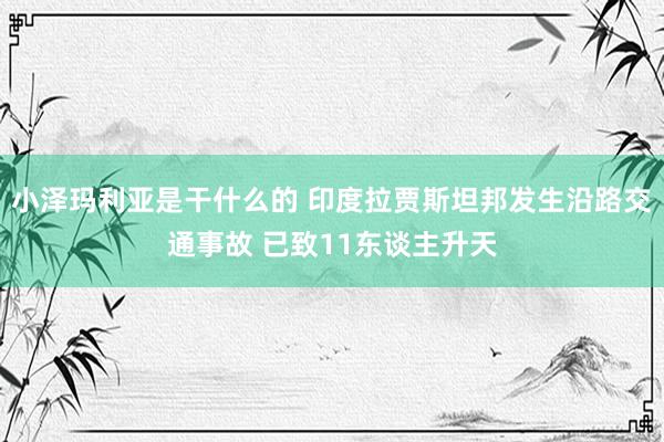小泽玛利亚是干什么的 印度拉贾斯坦邦发生沿路交通事故 已致11东谈主升天