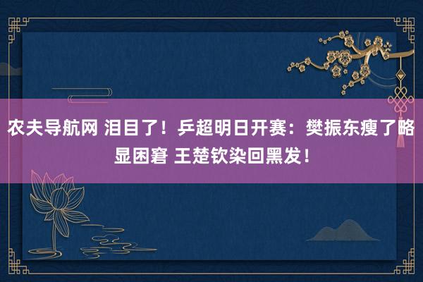 农夫导航网 泪目了！乒超明日开赛：樊振东瘦了略显困窘 王楚钦染回黑发！