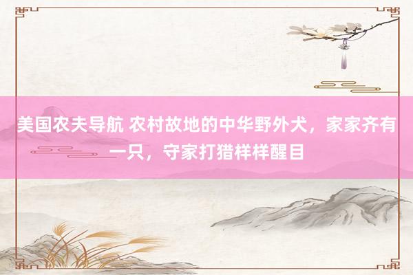 美国农夫导航 农村故地的中华野外犬，家家齐有一只，守家打猎样样醒目