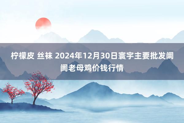 柠檬皮 丝袜 2024年12月30日寰宇主要批发阛阓老母鸡价钱行情