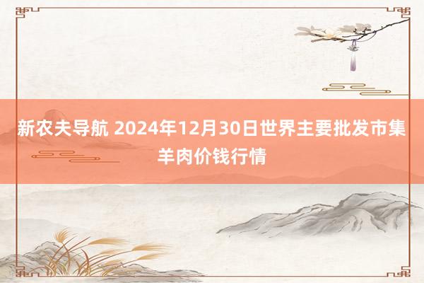 新农夫导航 2024年12月30日世界主要批发市集羊肉价钱行情