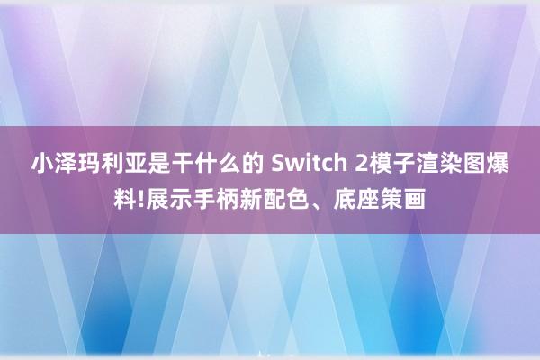 小泽玛利亚是干什么的 Switch 2模子渲染图爆料!展示手柄新配色、底座策画