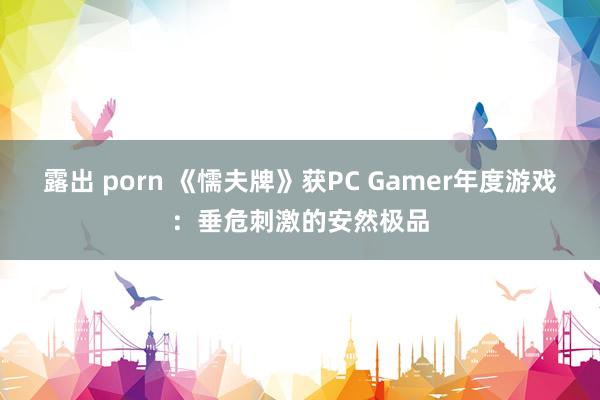 露出 porn 《懦夫牌》获PC Gamer年度游戏：垂危刺激的安然极品