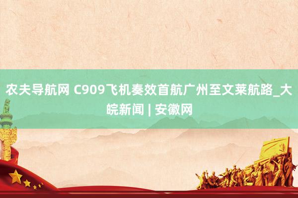 农夫导航网 C909飞机奏效首航广州至文莱航路_大皖新闻 | 安徽网