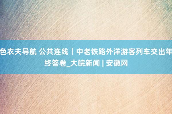 色农夫导航 公共连线｜中老铁路外洋游客列车交出年终答卷_大皖新闻 | 安徽网