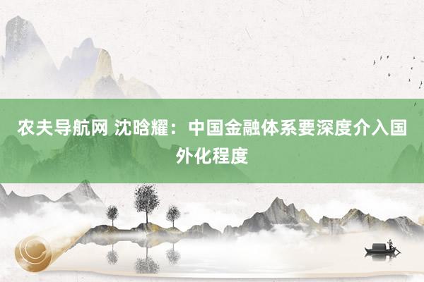 农夫导航网 沈晗耀：中国金融体系要深度介入国外化程度