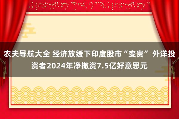 农夫导航大全 经济放缓下印度股市“变贵” 外洋投资者2024年净撤资7.5亿好意思元