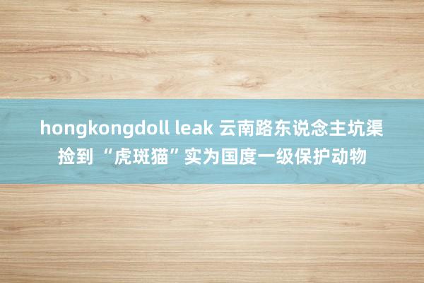 hongkongdoll leak 云南路东说念主坑渠捡到 “虎斑猫”实为国度一级保护动物