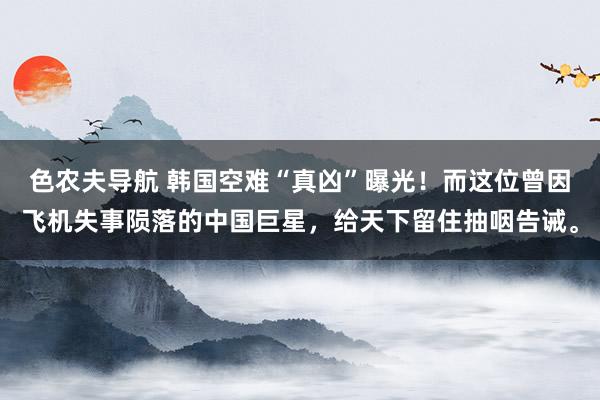 色农夫导航 韩国空难“真凶”曝光！而这位曾因飞机失事陨落的中国巨星，给天下留住抽咽告诫。