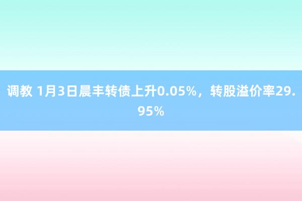 调教 1月3日晨丰转债上升0.05%，转股溢价率29.95%