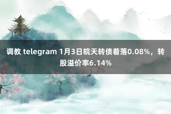 调教 telegram 1月3日皖天转债着落0.08%，转股溢价率6.14%