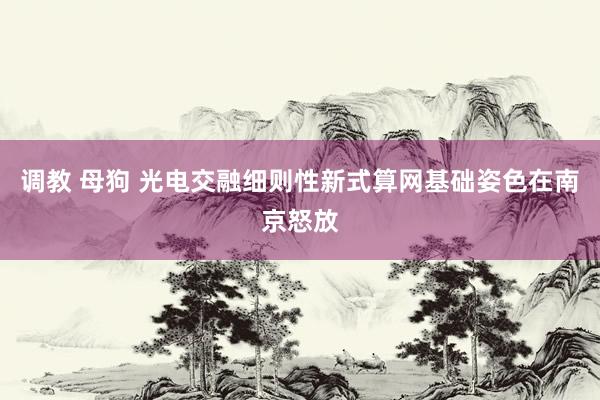 调教 母狗 光电交融细则性新式算网基础姿色在南京怒放
