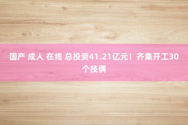 国产 成人 在线 总投资41.21亿元！齐集开工30个技俩