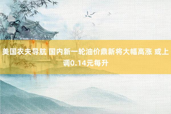 美国农夫导航 国内新一轮油价鼎新将大幅高涨 或上调0.14元每升