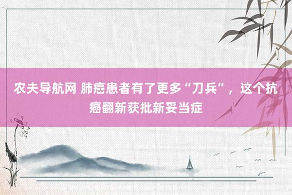 农夫导航网 肺癌患者有了更多“刀兵”，这个抗癌翻新获批新妥当症