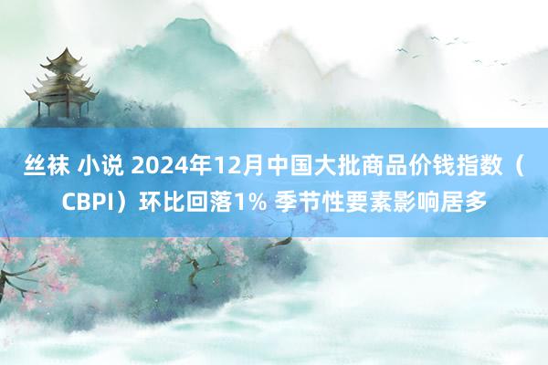 丝袜 小说 2024年12月中国大批商品价钱指数（CBPI）环比回落1% 季节性要素影响居多