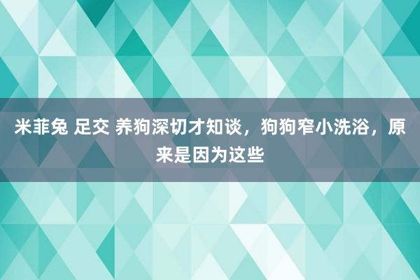 米菲兔 足交 养狗深切才知谈，狗狗窄小洗浴，原来是因为这些