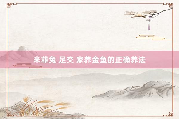 米菲兔 足交 家养金鱼的正确养法