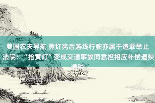 美国农夫导航 黄灯亮后越线行驶亦属于造孽举止 法院：“抢黄灯”变成交通事故同意担相应补偿遭殃